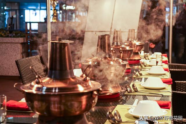吃火锅那么多年，你知道有哪些赞美火锅的经典句子吗？