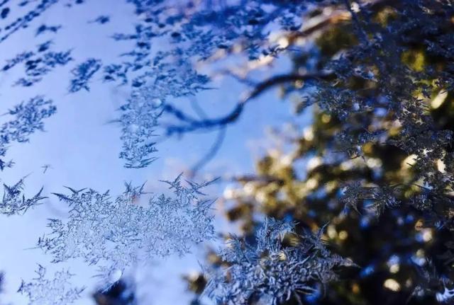 「诗词鉴赏」开在古诗词里的冰花，感悟凛冽的冬天的诗意与美好