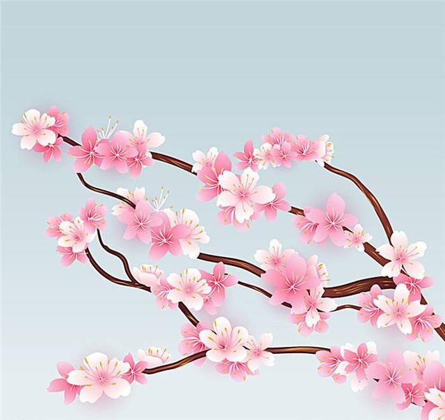 赏读这6首樱花诗词，看看不一样的风情！
