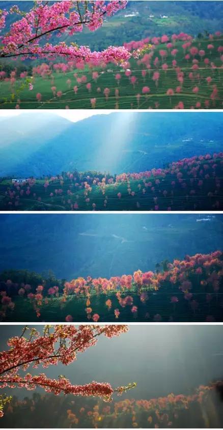 中国春季必去的八大美景，你都看过了吗？