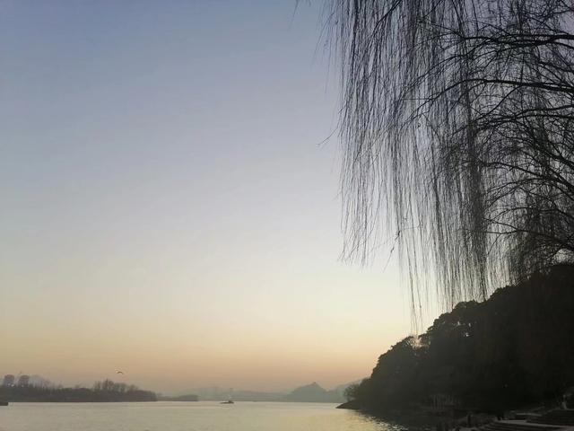 傍晚的江边，晚霞无限美，江水与树木成梦幻中的美景