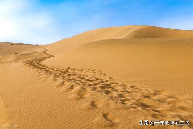 你还知道哪些描写沙漠的诗词？