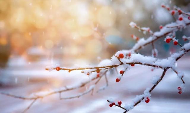 写雪最美的10首诗词，如冰如玉，纯美轻盈，美到灵魂里