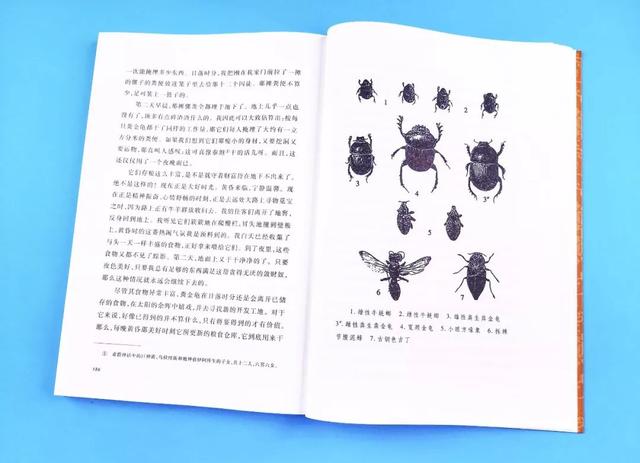 孩子一生必看的法布尔昆虫记，上千个版本看这套就够了