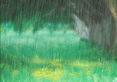 细赏八首落雨诗词：雨落成诗，哪一首淋湿了你的心？