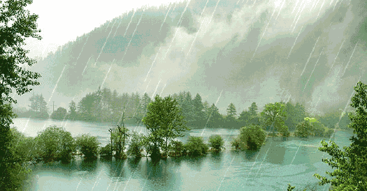 细赏八首落雨诗词：雨落成诗，哪一首淋湿了你的心？