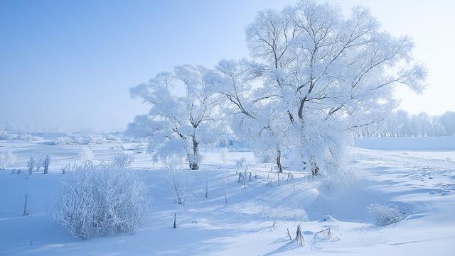 历尽天华成此景，八首有关雾凇的诗词，交织成一幅冬日美景