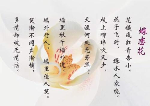 苏轼很有特色的一首词，名句纷呈，“天涯何处无芳草”也出自此词