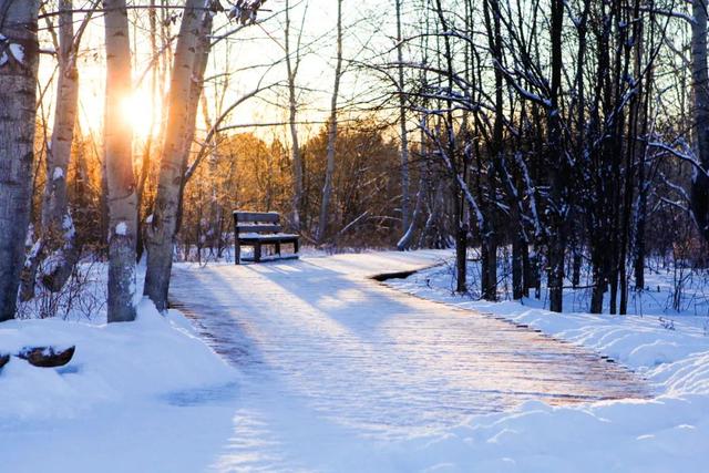 12句冬雪诗词，浪漫有情调，治愈了整个冬天