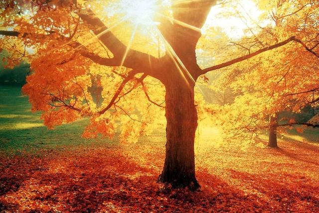 【厦门】金秋十月，这些形容秋天的成语，在海沧都能找到对应的美景~