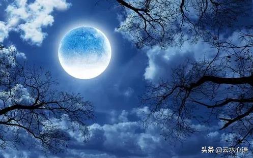 刘禹锡怀念老友，在月下吟诵了一首妙诗，思念之情充盈于天地之间