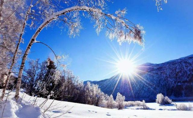 【诗词鉴赏】飞雪逗年华，十二首对雪的诗词，​让我们欣赏最美的雪