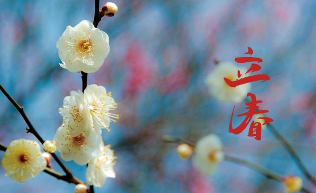 共搜佳句赏新春，十首立春诗词，愿你步步皆春，春风得意