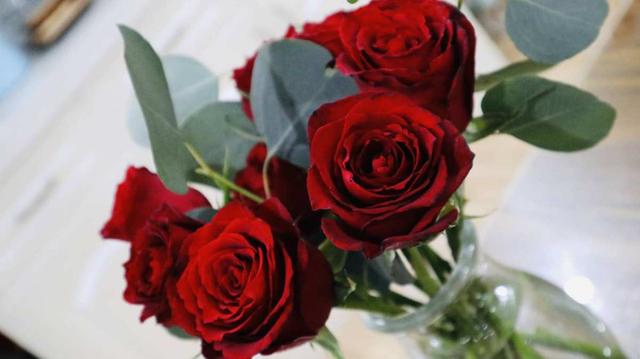 又是一年七夕，别只会送红玫瑰啦！这6种花，送给她更合适