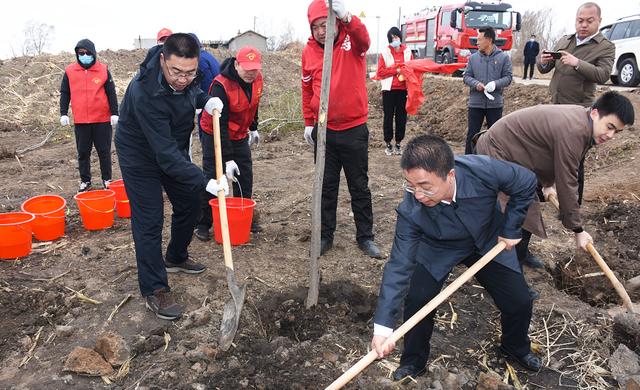 筑梦青春 绿美伊通——团县委组织开展植造青年林活动