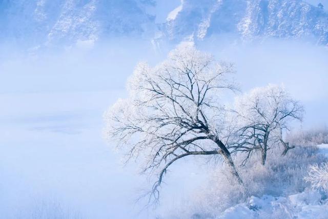 雪诗配雪景，与您尽赏冬雪之美