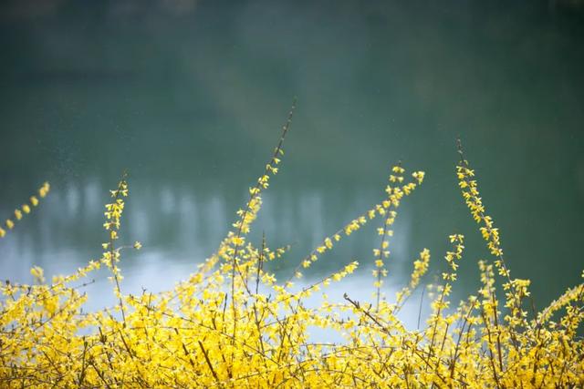 10首最美春风诗词，秀丽江山，田园如画，送你一场春暖花开