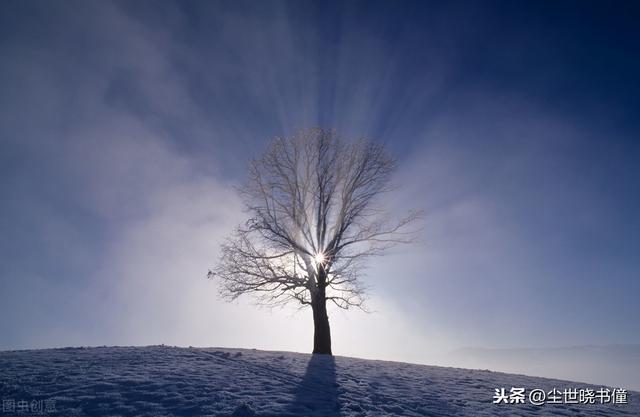 白居易最孤独的一首诗，一个人在孤独的冬夜想念故乡，道尽了相思