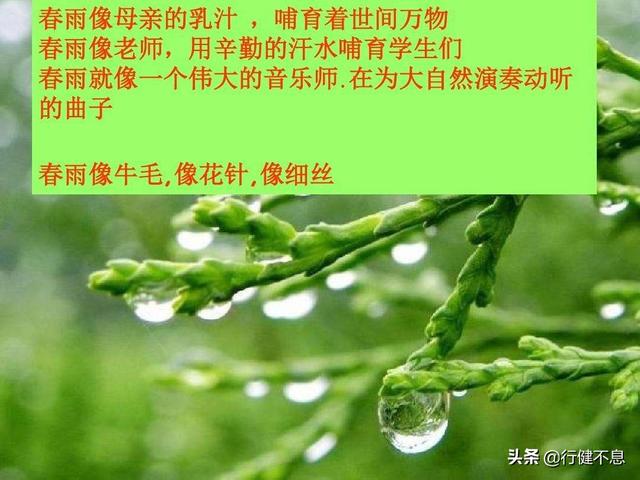 沾衣欲湿杏花雨：十二首著名的春雨诗词，展示大诗人的雨中情