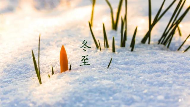 诗词鉴赏-冬至已至 春归有期，十首经典的冬至诗词，温暖如诗