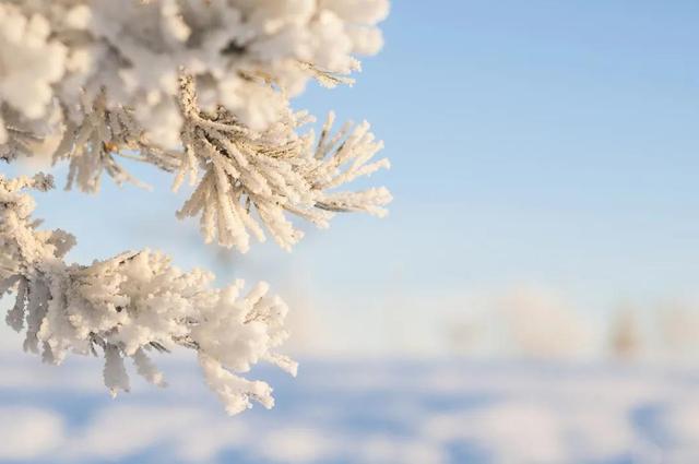 今日大雪丨雪竟然有20多种名字，雪蕴诗情，你知道有哪些相关的诗句吗
