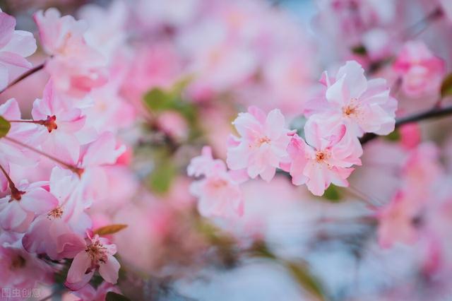 关于春天的温柔美好句子，春风春水唯美情感简短文案精选