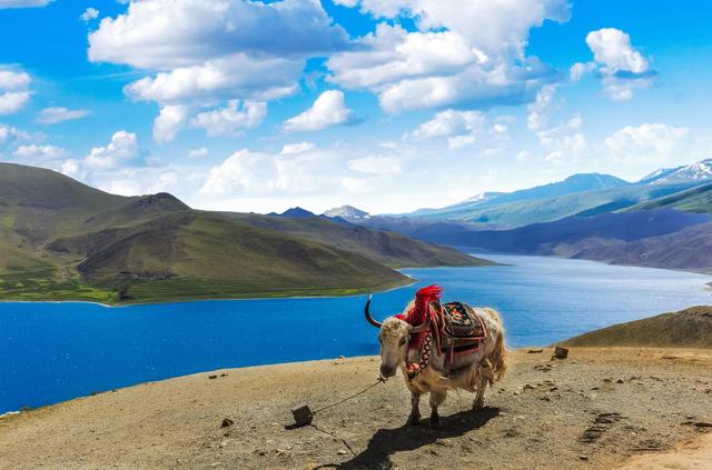 一个人来西藏旅游注意事项