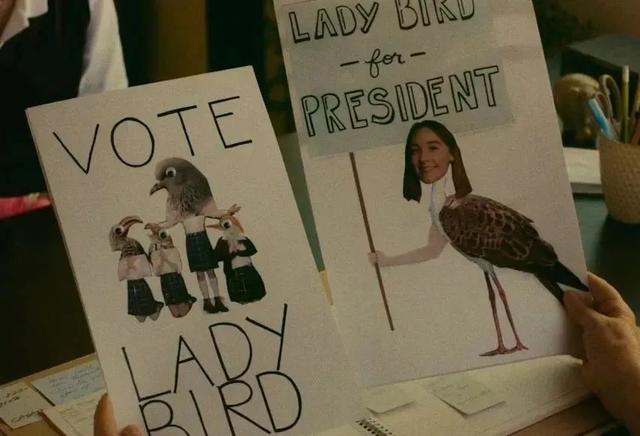 我们都是lady bird