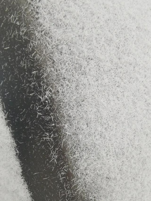 罗面雪，下半月！河南罕见雪花像长粒香大米，形成原因有多罕见？