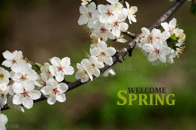温暖四月唯美句子，描写春天春风春雨的美好文案