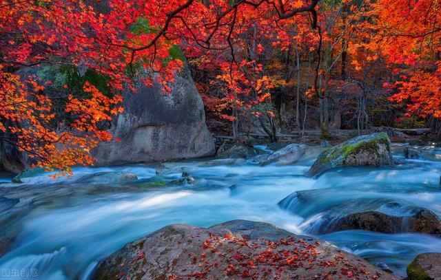 王维3首经典写秋诗：秋在人间，山水如画，唯美惊艳