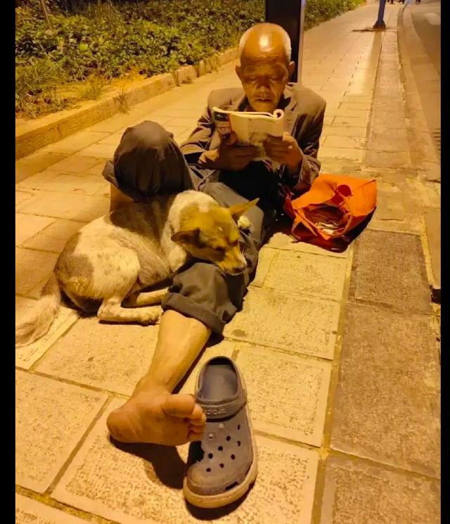 老人在路灯下面看书，腿边还依偎着一只狗狗，一人一狗，却享余生