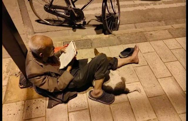 老人在路灯下面看书，腿边还依偎着一只狗狗，一人一狗，却享余生