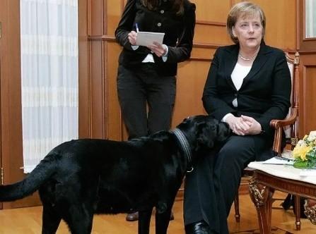 铁血硬汉也有柔情时：俄罗斯总统普京和他的5条爱狗，温馨又有爱