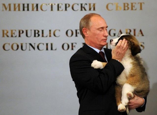 铁血硬汉也有柔情时：俄罗斯总统普京和他的5条爱狗，温馨又有爱