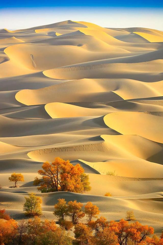 中国沙漠，12%的金黄之地