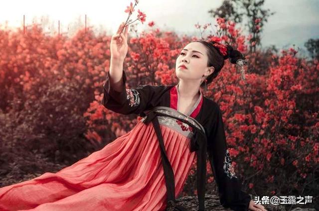 意境高妙的10首杜鹃花诗，哪一首能迎来贵州百里杜鹃最美时刻？