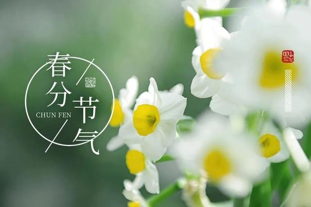 2022春分最新版春日暖心早安祝福朋友美句，3月20日特别漂亮