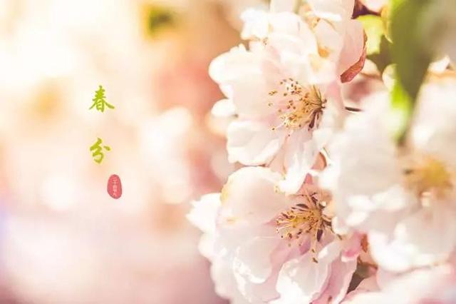 2022春分最新版春日暖心早安祝福朋友美句，3月20日特别漂亮