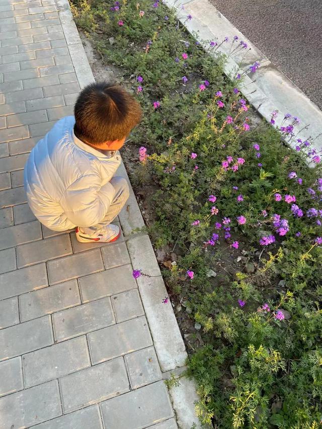 有这样一位孩子，每天都会和花“说说知心话”，把花当作好朋友