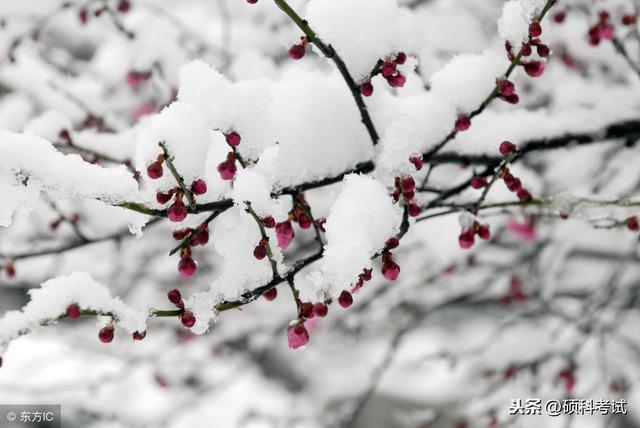 小学语文作文关于下雪天、下雨天、春节好词好句汇总，收藏好！